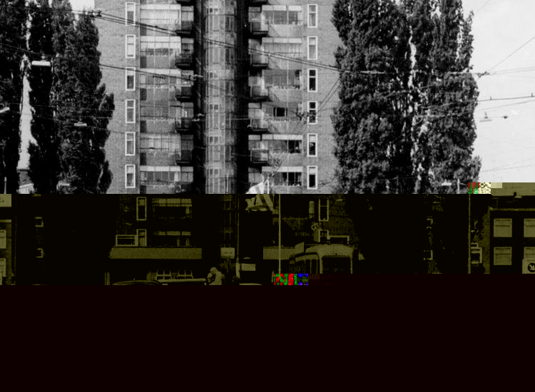 vlag.jpg