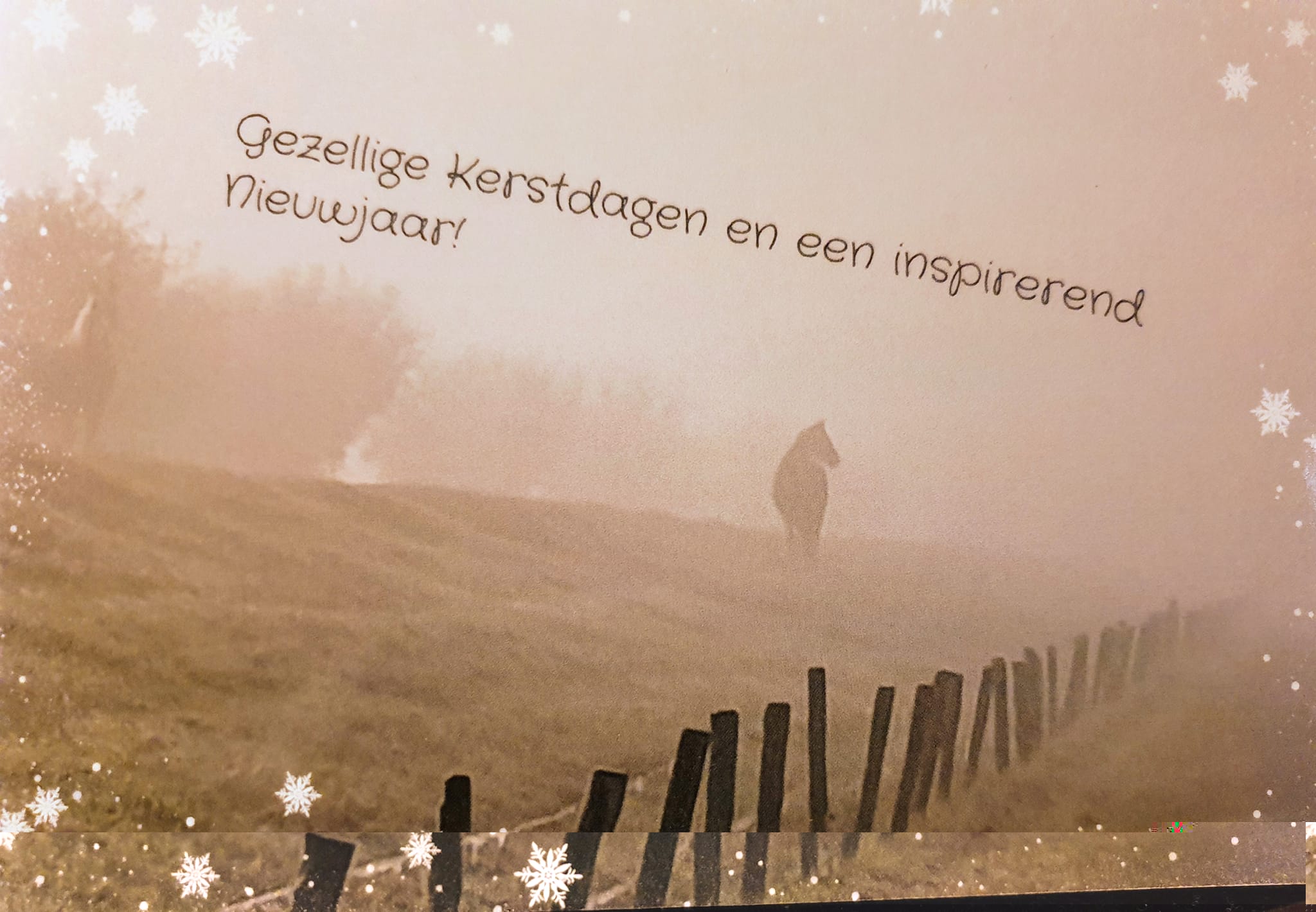 kerstgroet.jpeg