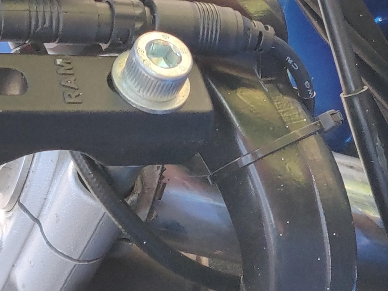 boxer rammount 4.jpg