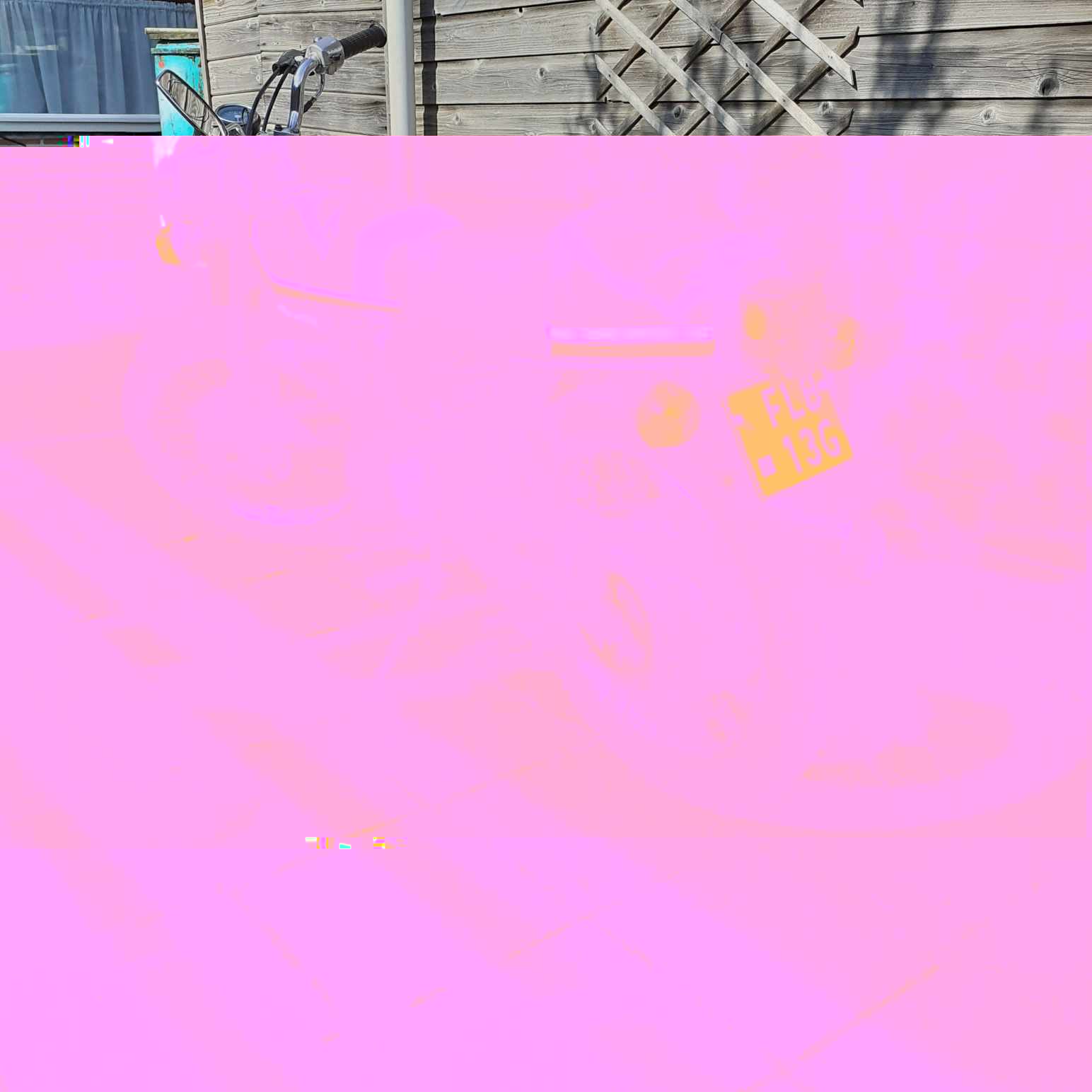 433377902_1197648694977724_1840887220825594424_n.jpg