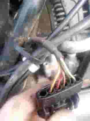 4C9BD92A-0A7B-42F2-8EAC-3382AEE7CE60.jpeg