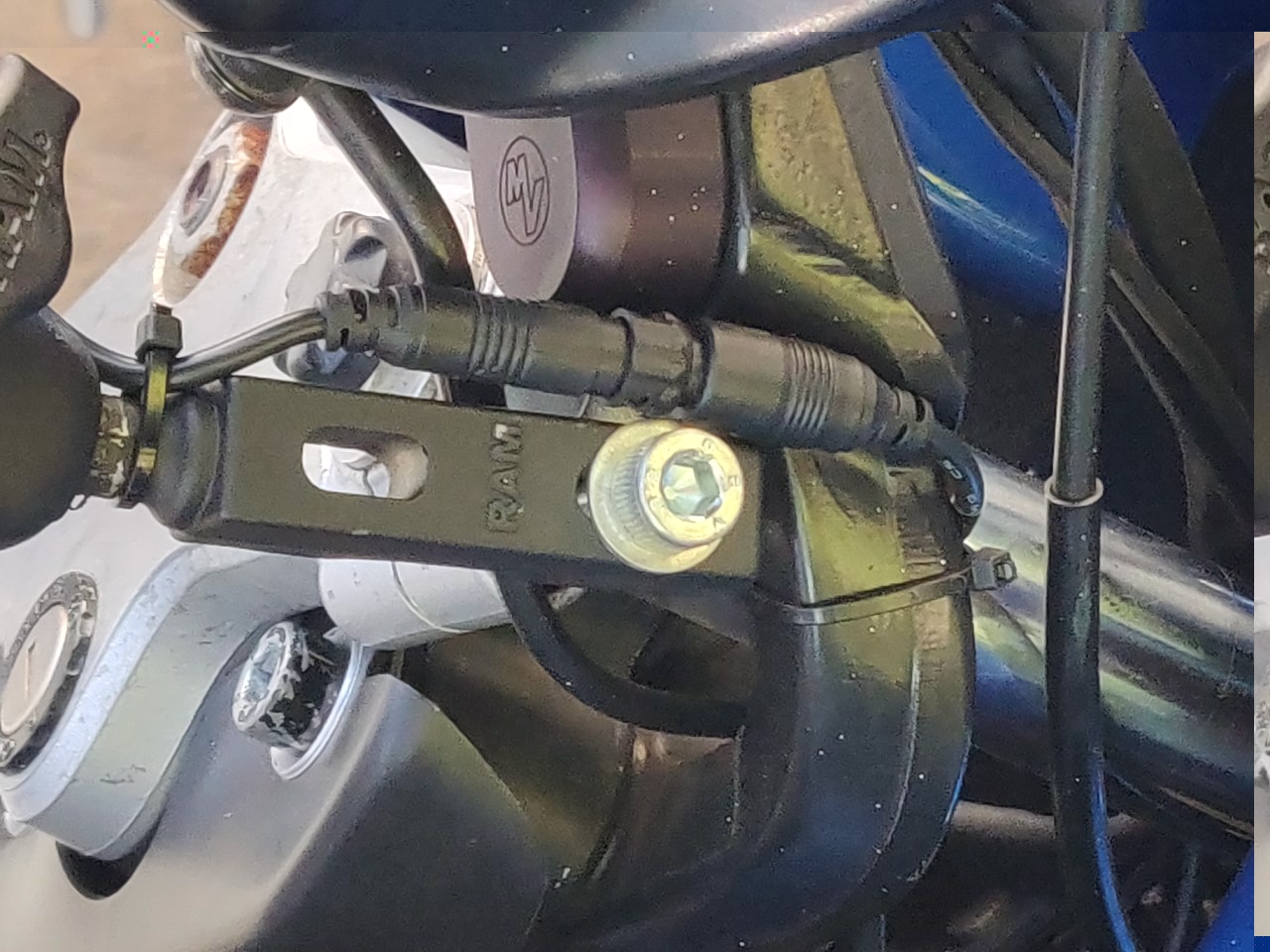 boxer rammount 3.jpg