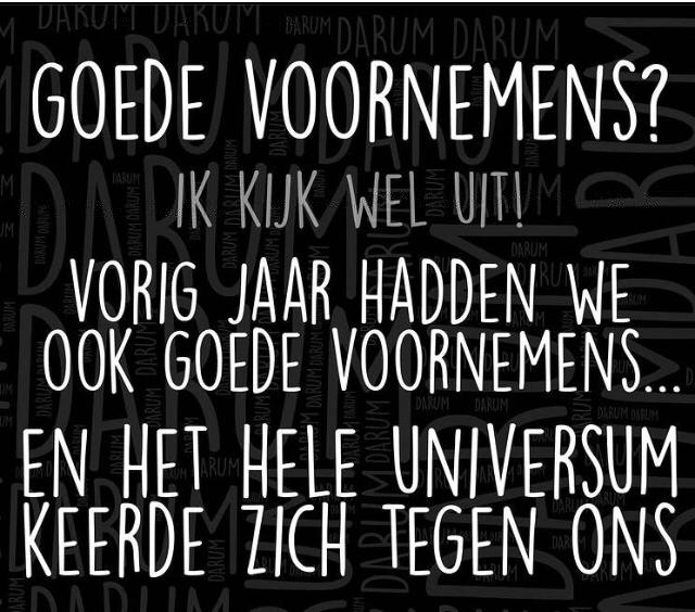 voornemens.jpeg